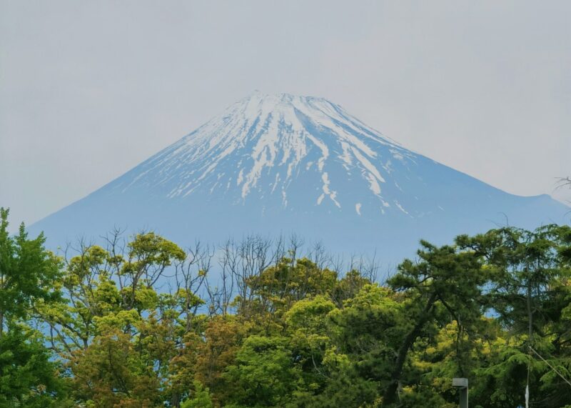 mt.fuji